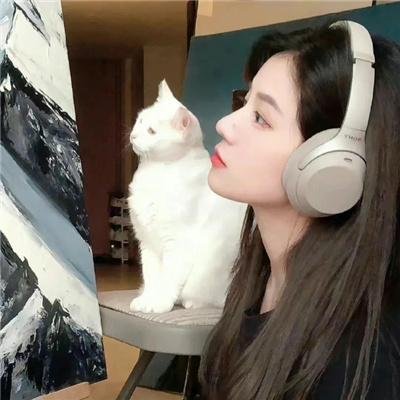玩命追逐